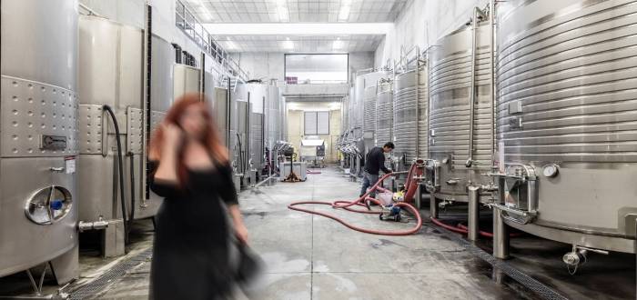 QUINTA DA GAIVOSA WINERY