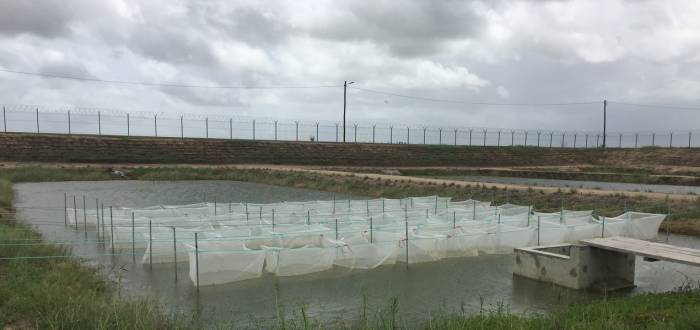 CHOKWÉ AQUACULTURE CENTER