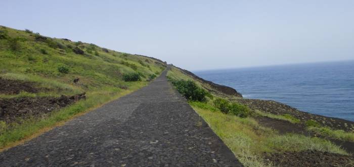 GENIS CONTRACT- ROADS OF FOGO ISLAND 