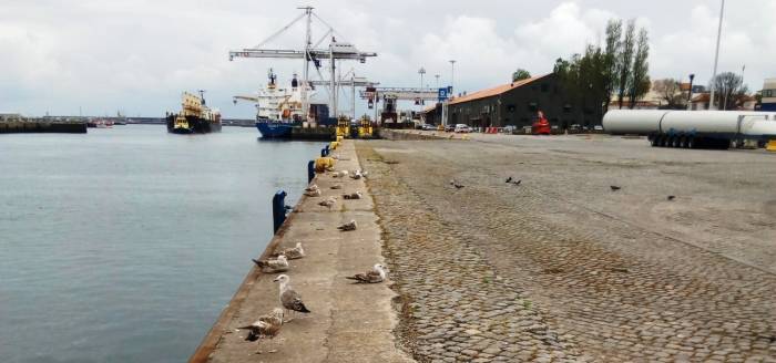 PORTO DE LEIXÕES: AVANÇO DE TODO O CAIS NORTE DA DOCA Nº 1